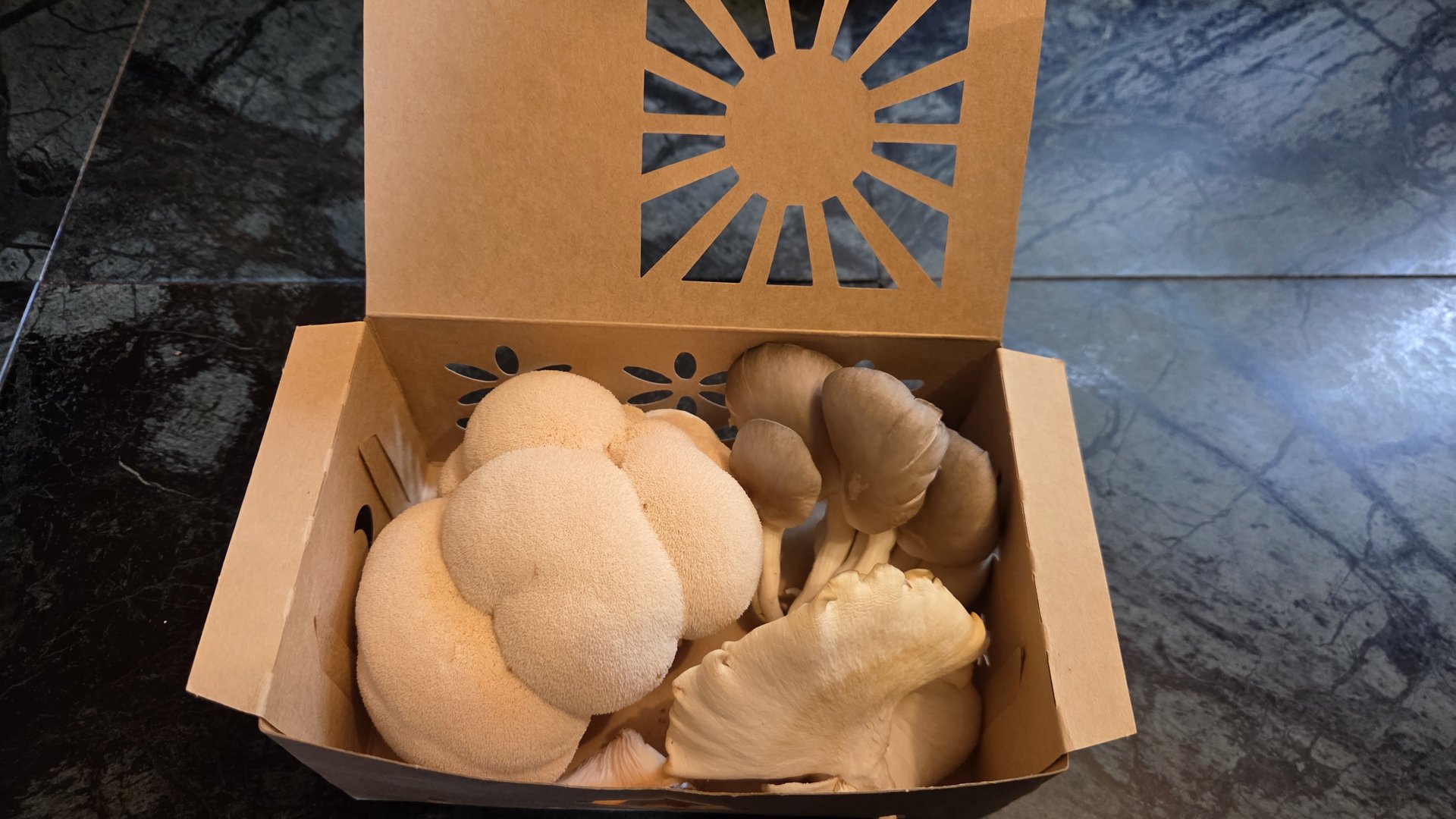 A box packed with fresh mushrooms